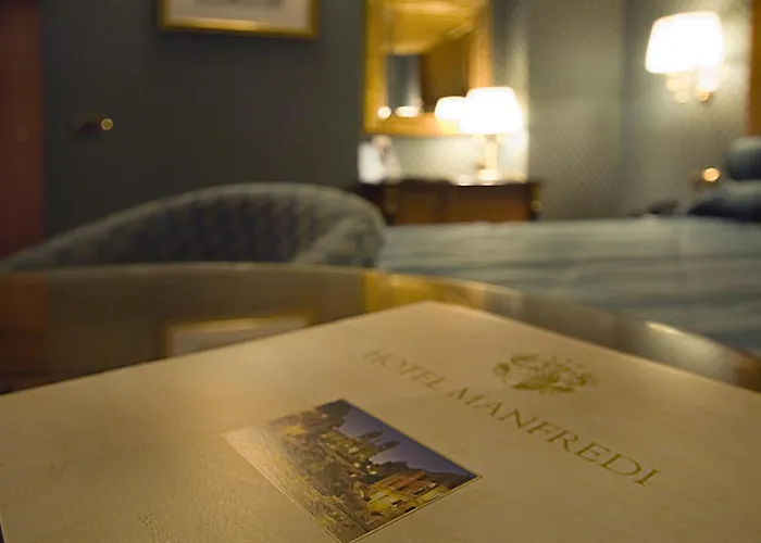 Hotel Manfredi In 3*